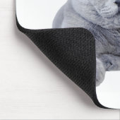 Kurzhaarkatze Mousepad (Ecke)
