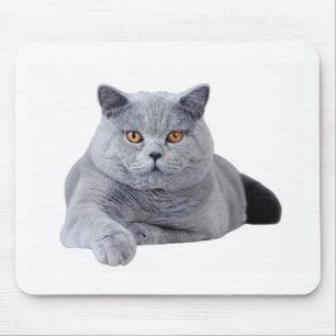 Kurzhaarkatze Mousepad