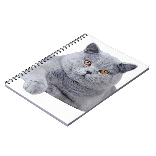 Kurzhaarkatze Notizblock (Linke Seite)