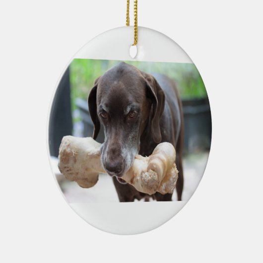 Kurzhaarzeiger mit Knochen Keramik Ornament (Rechts)