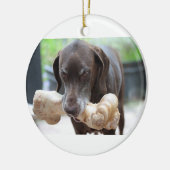 Kurzhaarzeiger mit Knochen Keramik Ornament (Links)