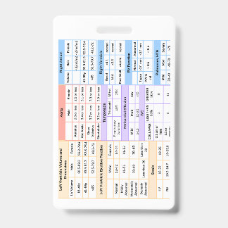 Kurzhinweis zum Echo-Abzeichen Ausweis