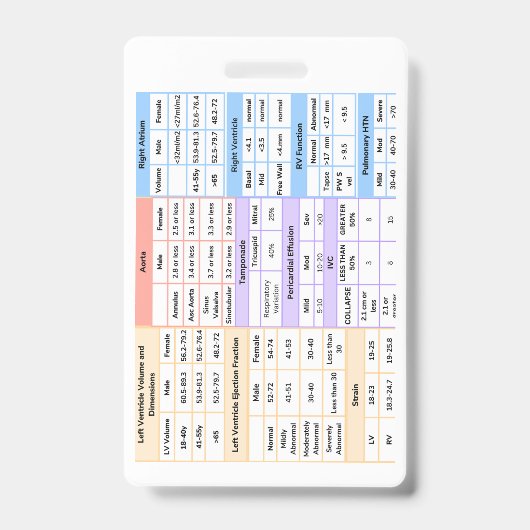 Kurzhinweis zum Echo-Abzeichen Ausweis (Vorderseite)