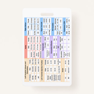 Kurzhinweis zum Echo-Abzeichen Ausweis