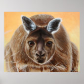 KÜRZLICH POSTER (Vorne)