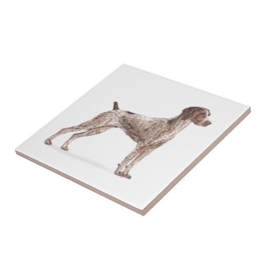 Kurzzeiger Fliese (Seite)