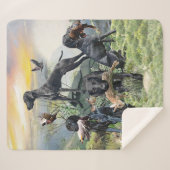 Kurzzeiger Sherpadecke (Vorderseite (Horizontal))