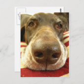 Kurzzeigernase Postkarte (Vorne/Hinten)