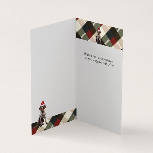 Kurzzeitiger Pointer GSP Dog Holiday Kariert Weihn (Innenseite)