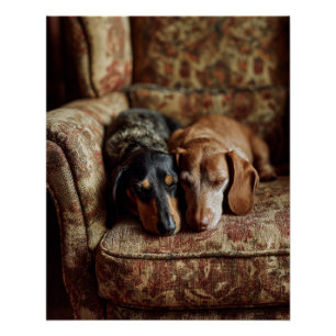Kuschel-Dachshunde Rustikal Braun Gemütliche Kunst Poster
