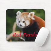 Kuschelbild Roter Panda Mousepad (Mit Mouse)