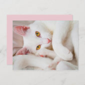 kuschelige Postkarte (Vorne/Hinten)