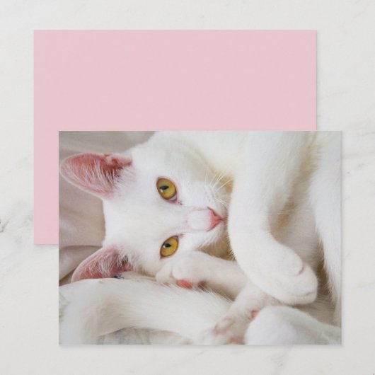 kuschelige Postkarte (Vorne/Hinten)