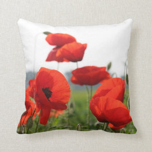 Kuschelkissen zum Wohlfühlen Kissen