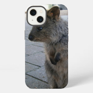 "Kuscheln in Australien: Ein kuscheliger grauer Qu iPhone 13 Hülle