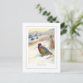 Kuser's Blood Partridge Postkarte (Stehend Vorderseite)