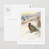 Kuser's Blood Partridge Postkarte (Vorne/Hinten)