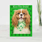 Küss die Iren! Cavalier King Charles Spaniel Card Karte (Vorderseite)