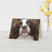 Kuss - englischer Springerspaniel-Gruß-Karte Karte (Gelbe Blume)