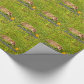 Küss heute ein Erdhuhn. Hol dir ein Tollpatsch Geschenkpapier (Ecke)