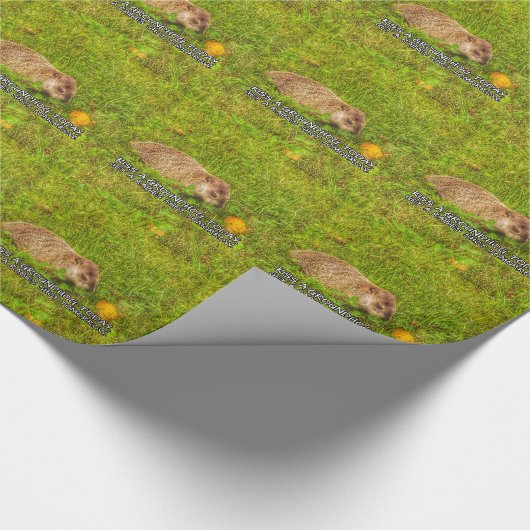 Küss heute ein Erdhuhn. Hol dir ein Tollpatsch Geschenkpapier (Ecke)