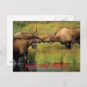 Küss meinen Elch, küss meinen Elch Postkarte (Vorne/Hinten)