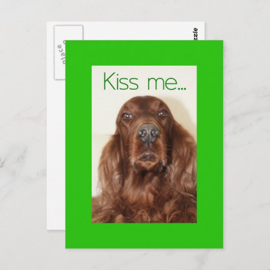 Küss mich... Ich bin Irin. Postkarte (Vorne/Hinten)