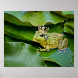 Küss mich, ich bin vielleicht ein Prinz, Froschpri Poster