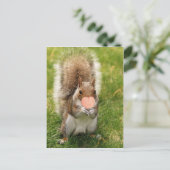 Kuss mir Eichhörnchen Postkarte (Stehend Vorderseite)