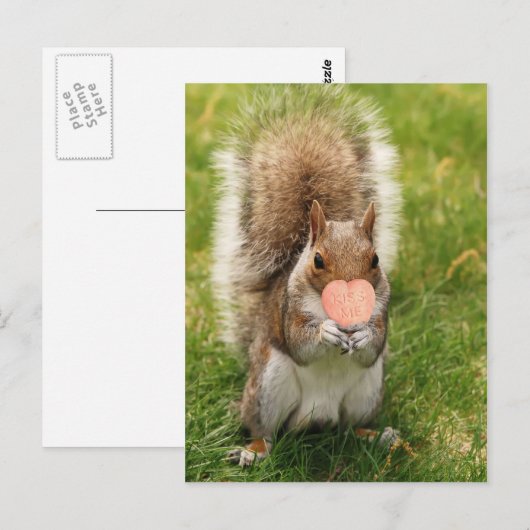 Kuss mir Eichhörnchen Postkarte (Vorne/Hinten)