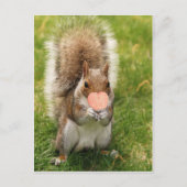 Kuss mir Eichhörnchen Postkarte (Vorderseite)