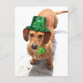 Küss mir, ich bin irische Dackel Postkarte (Vorderseite)