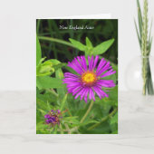 Küss ohne Umarmung... Gartenangebot Karte (Vorderseite)