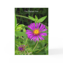 Küss ohne Umarmung... Gartenangebot