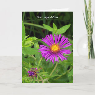 Küss ohne Umarmung... Gartenangebot Karte