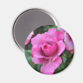 Kuss von der Rose Magnet (Vorderseite/Rückseite)