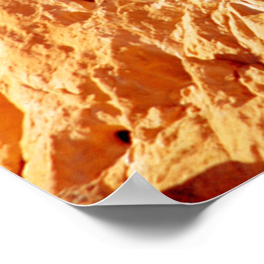 Küsschen von Kameln, Garten der Götter Poster (Ecke)