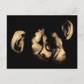 Küsschimpansen Postkarte (Vorderseite)