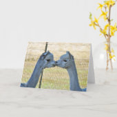 Küssen der Alpakas auf einer Frameable Kunst-Karte Karte (Gelbe Blume)
