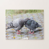 Küssen der Tauben Puzzle (Horizontal)