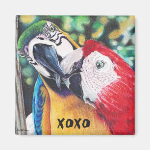 Küssen des Macawsmagneten Magnet