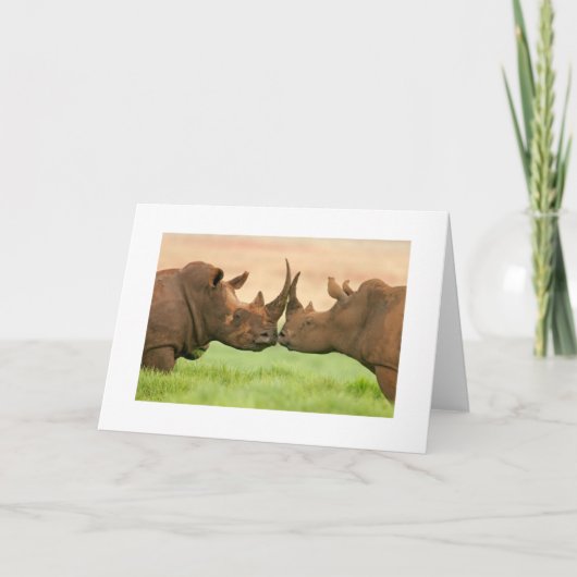 Küssen des Rhinos Karte (Vorderseite)