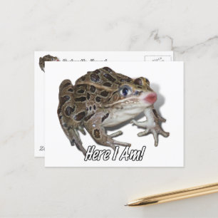 Küssen Frosch - Pucker Up, Schatz! Postkarte