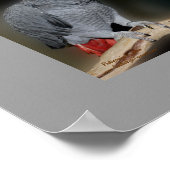 Küssen Papageien Niedliche Hochzeitsgeschenkposter Poster (Ecke)