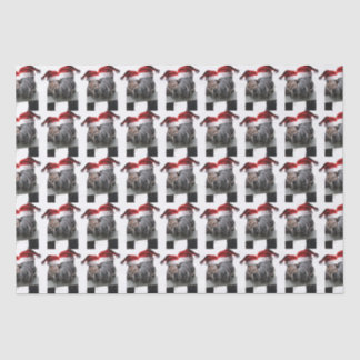 Küssen Pferde Weihnachtsmann Seidenpapier