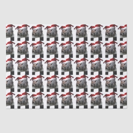 Küssen Pferde Weihnachtsmann Seidenpapier (Vorderseite)