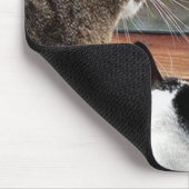 Küssen Sie meinen gefiederten Hintern-Vogel mit Mousepad (Ecke)