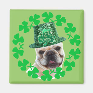 Küssen Sie mich, den ich irischer Magnet der