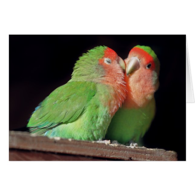 Küssen Sie mich Karte (Vorderseite (Horizontal))