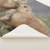 Küssen Sie mich schnelle Sherpa Decke Sherpadecke (3/4)